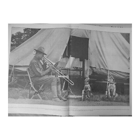 1914/1918 CHIEN SANITAIRE CAMP AMERICAIN SAMMY CONCERT MASCOTTE REGIMENT