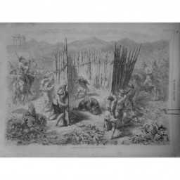 1862 MI CHASSE TIGRE JAVA CROQUIS M. BONNET