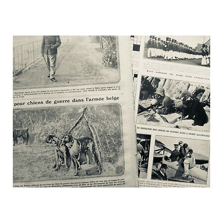 1915 CHIENS MILITAIRES ARMEE BELGE DRESSAGE 2 JOURNAUX