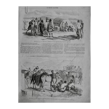 1868 MI ABYSSINIE ETHIOPIE EXPEDITION ANGLAISE FEMMES PROVISION CAMP MULET