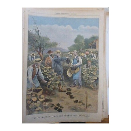 1906 1907 FALLIERES PRESIDENT REPUBLIQUE LOUPILLON VIGNES RAISINS VENDANGE