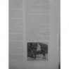 1907 TOLSTOI CELEBRE ECRIVAIN RUSSE CHEVAL FAVORI