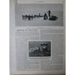 1905 EXPLORATEURS RETOUR POLE SUD M BERNACCHI EQUIPAGE CHIENS TRAINEAUX