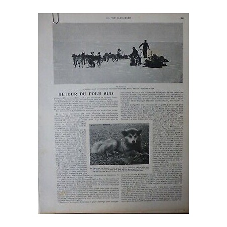 1905 EXPLORATEURS RETOUR POLE SUD M BERNACCHI EQUIPAGE CHIENS TRAINEAUX