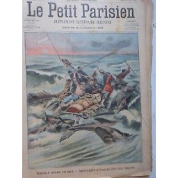 1906 PP DRAME MER NAUFRAGES ATTAQUES REQUINS