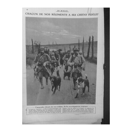 1917 GRANDE GUERRE REGIMENTS CHIENS FIDELES SOLDATS MASCOTTES