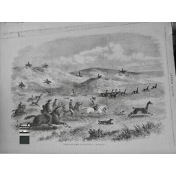 1873 UI ARGENTINE CHASSE LAMAS PATAGONIE