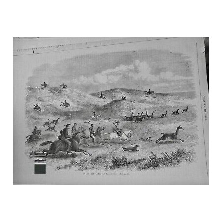 1873 UI ARGENTINE CHASSE LAMAS PATAGONIE