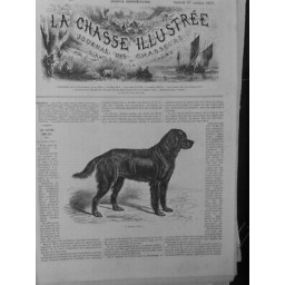 1877 SETTER GORDON CHASSE CHIENS FAISAN 2 JOURNAUX