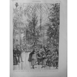 1889 NOEL ENFANTS PAUVRES PALAIS ELYSEE SAPINS GRANDE SERRE