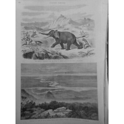 1866 UI CHASSE ELEPHANT NIGER CONFLUENT RIVIERE PRINCE AFRIQUE CENTRALE