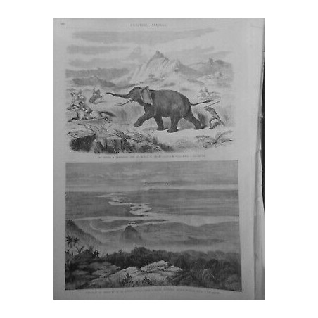 1866 UI CHASSE ELEPHANT NIGER CONFLUENT RIVIERE PRINCE AFRIQUE CENTRALE