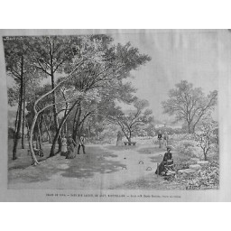 1884 UI MONTPELLIER JARDIN AOUT DESSIN BAUDOUIN BANC VEGETATION