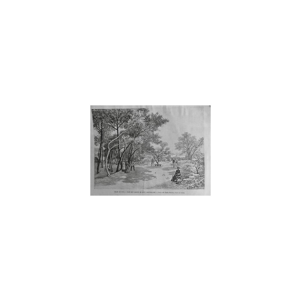 1884 UI MONTPELLIER JARDIN AOUT DESSIN BAUDOUIN BANC VEGETATION