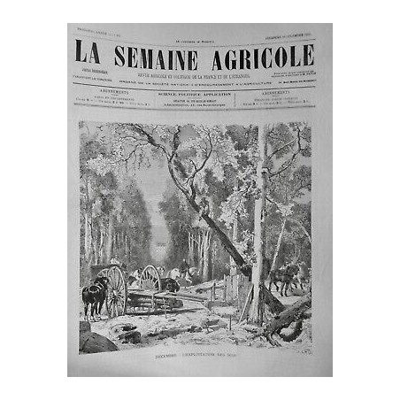 1883 SA EXPORTATION BOIS FORET TRANSPORT SCIE CHEVAUX