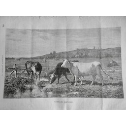 1882 SA AGRICULTURE TROUPEAU VACHES PATURAGE AUTOMNE PRÉS