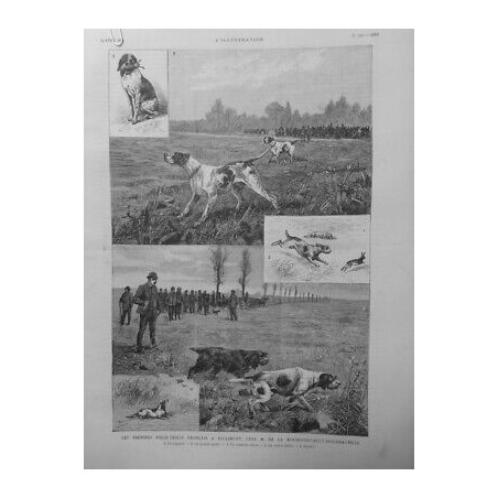 1888 I FIELD TRIALS ESCLIMONT CHIENS ARRETS ROCHEFOUCAULT DOUDEAUVILLE