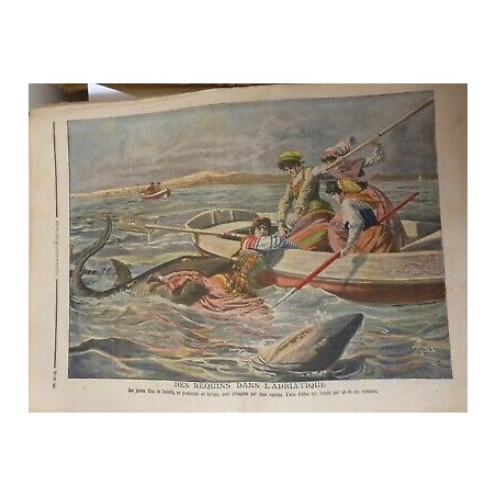 1908 PJ REQUINS ADRIATIQUE JEUNES FILLES TRIESTE ATTAQUEES SQUALES