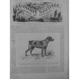 1877 CHASSE CHIEN ARRET BRAQUE FRANCAIS RACE BOURBONNAIS 2 JOURNEAUX