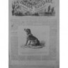 1877 CHASSE CHIEN ARRET BRAQUE FRANCAIS RACE BOURBONNAIS 2 JOURNEAUX