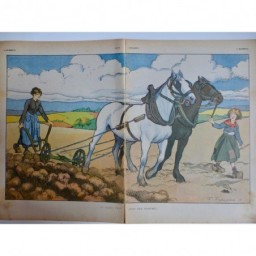 1916 FEMME DESSIN AGRICULTURE PAYSAN LABOURER TERRE CHARRUE ATTELAGE