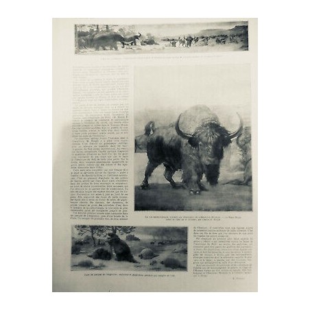 1921 I MAMMOUTH BISON ROYAL MISSOURI MASTODONTES GLACE MYLODON GLYPTODON