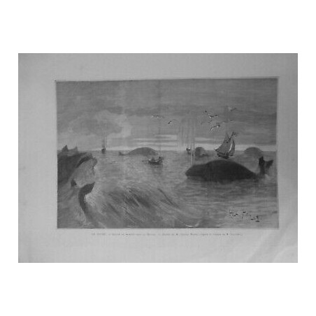 1889 HAVRE GROUPE BALEINES MANCHE DESSIN M GASTON NOURY