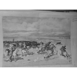 1878 I MUSELADE VEAUX CAMARGUE DESSIN M.BARRAND