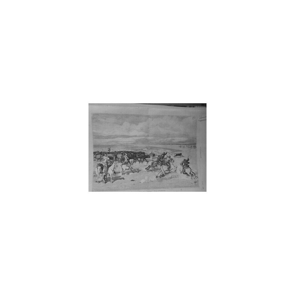 1878 I MUSELADE VEAUX CAMARGUE DESSIN M.BARRAND