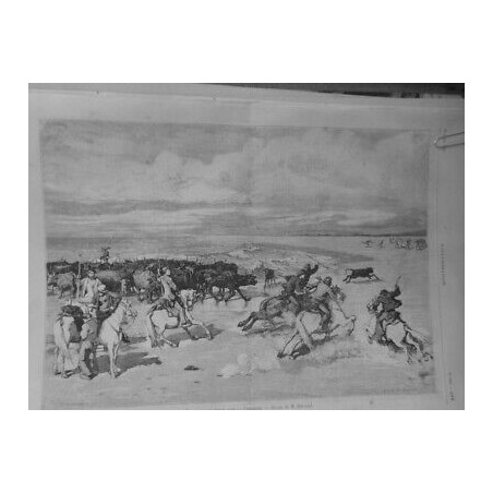 1878 I MUSELADE VEAUX CAMARGUE DESSIN M.BARRAND