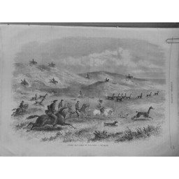 1873 UI CHASSE LAMAS PATAGONIE CHEVAUX