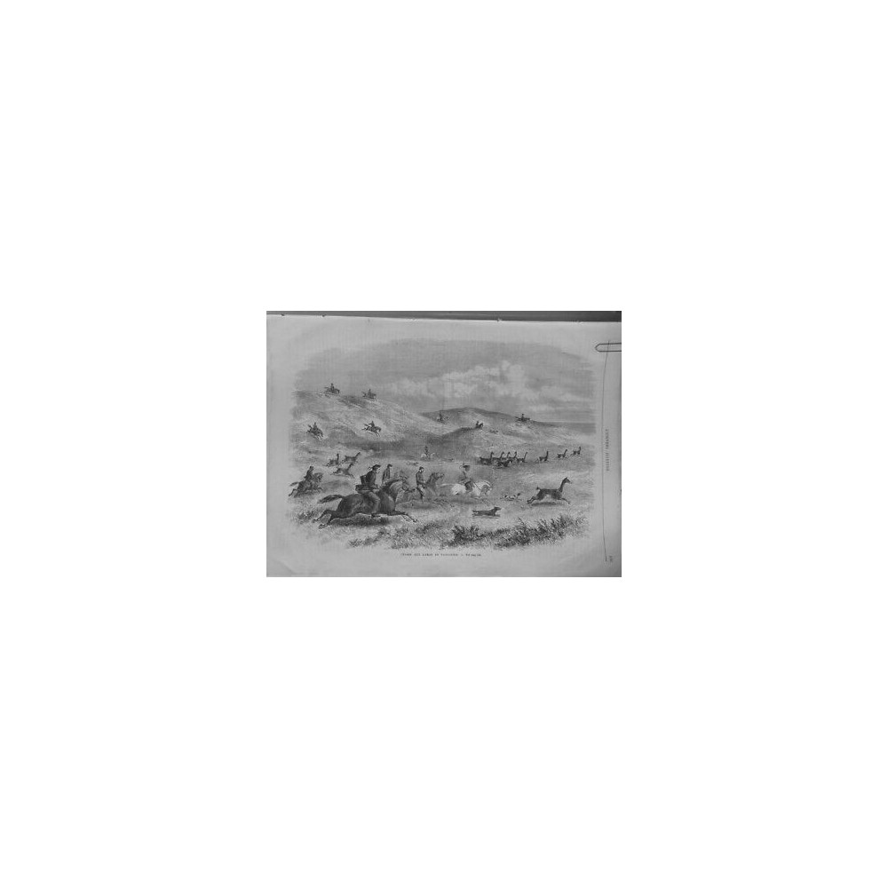 1873 UI CHASSE LAMAS PATAGONIE CHEVAUX