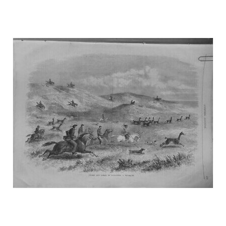 1873 UI CHASSE LAMAS PATAGONIE CHEVAUX