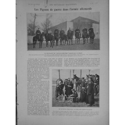 1903 PIGEONS VOYAGEUR GUERRE ARMEE ALLEMANDE