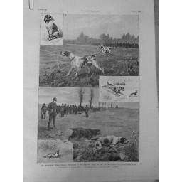 1888 CHASSE FIELD-TRIALS CHIENS GIBIER