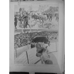 1899 TAUREAU CORRIDA ARENES DE DEUIL ACCIDENT BARRIERE