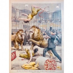 1907  CIRQUE GYMNASTES TOMBENT CAGE LIONS