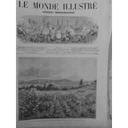 1874 MI VILLE DE CETTE NORD FRANCE VIGNES ATTEINTES PHYLLOXERA