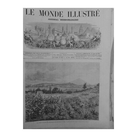 1874 MI VILLE DE CETTE NORD FRANCE VIGNES ATTEINTES PHYLLOXERA