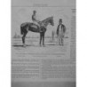 1864 PHOTOGRAPHIE VERMOUT CHEVAL GAGNANT GRAND PRIX BOIS BOULOGNE DELTON