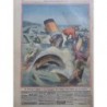 1910 PP NAUFRAGE TRAGIQUE PASSAGERS VAPEUR DEVORES REQUINS