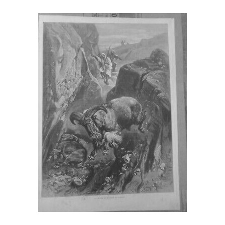 1894 1906 CHASSE A LA PANTHERE MOUFLON CHACAL ALGERIE 3 JOURNAUX