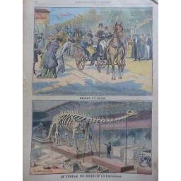 1908 PP REINES FOSSILE MUSEUM DIPLODOCUS