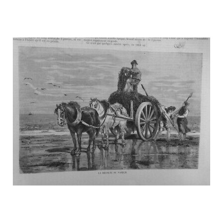 1874 I RECOLTE VARECH CHARETTE CHEVAUX MER FOURCHE