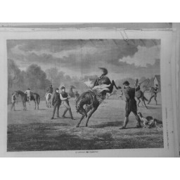 1874 I DRESSAGE YEARLINGS CHEVAUX ANGLAIS FOUET