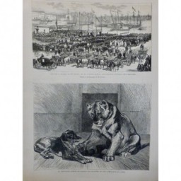 1884 JARDIN PLANTE LION CAGE CROCS COMPAGNON CHIEN BALLON LIONNE 3 JOURNAUX