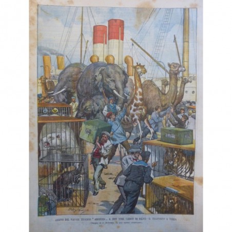 1902 DC CIRQUE BATEAU ABISSINIE VAPEUR ALLEMAND ANIMAUX NEW YORK