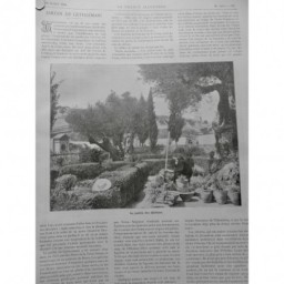 1904 FI JARDIN GETHSEMANI OLIVIER JESUS DISCIPLE CHRETIEN TOMBE VEGETATION