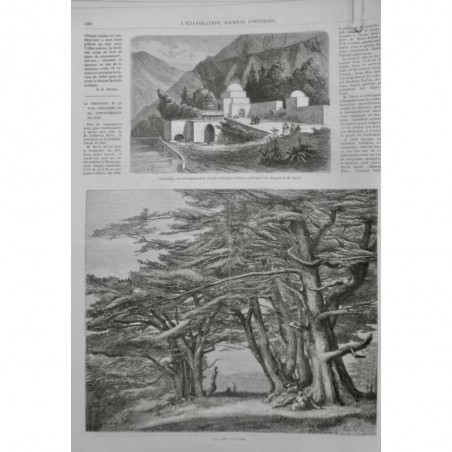 1861 I MONASTERE CANOUBIN COUVENT MARONITE MONTAGNE CEDRES LIBAN ARBRE