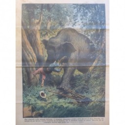 1928 DC AFRIQUE JUNGLE ACCIDENT ELEPHANT ATTAQUE PHOTOGRAPHE APPAREIL PHOTO